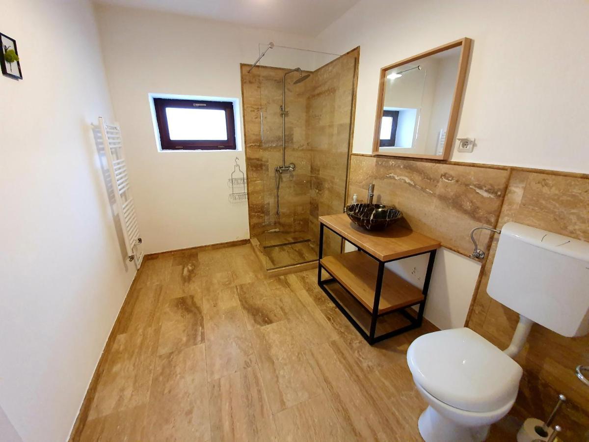 Maximus Apartments シギショアラ エクステリア 写真