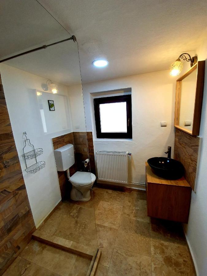 Maximus Apartments シギショアラ エクステリア 写真